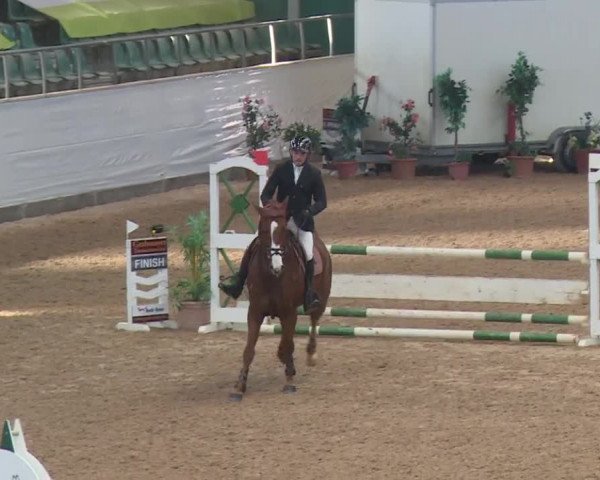 FEI Reitturnier Kreuth (GER) 2017