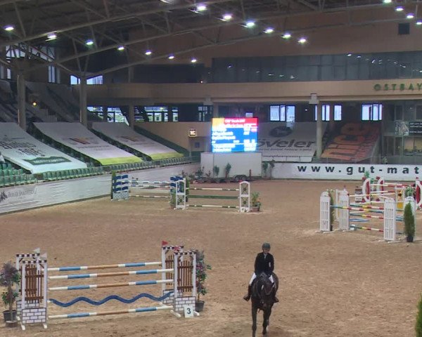 FEI Reitturnier Kreuth (GER) 2017