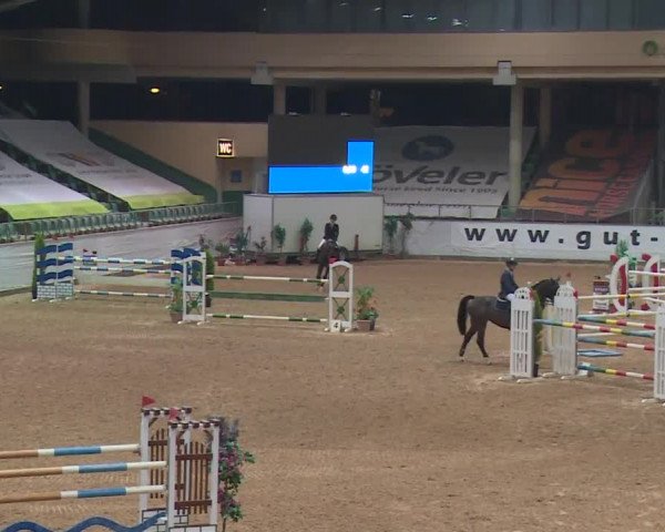 FEI Reitturnier Kreuth (GER) 2017