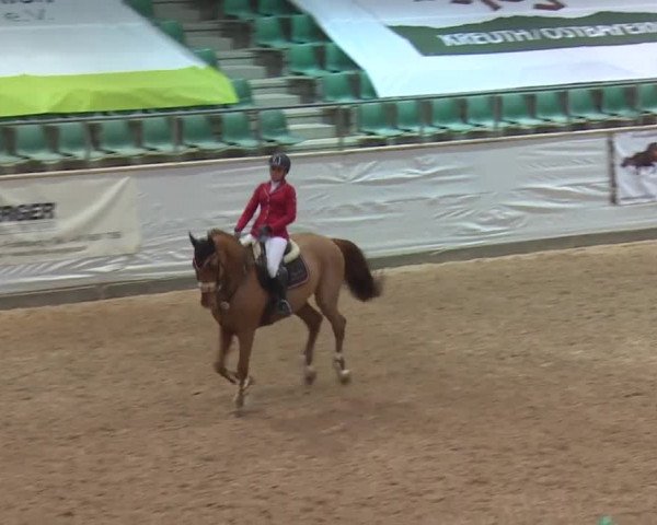 FEI Reitturnier Kreuth (GER) 2017