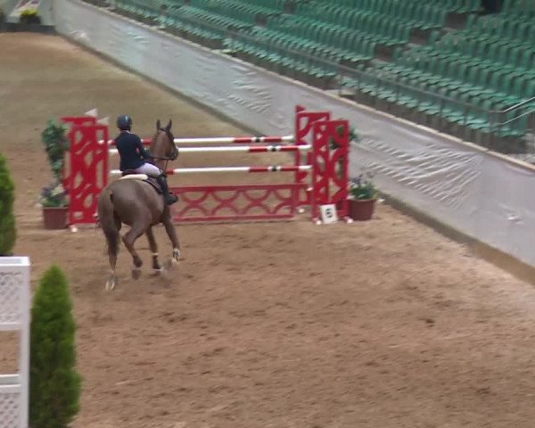 FEI Reitturnier Kreuth (GER) 2017