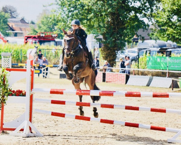 jumper Vio 3 (Rhinelander, 2009, from Vulkano FRH)
