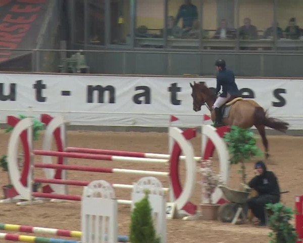FEI Reitturnier Kreuth (GER) 2017