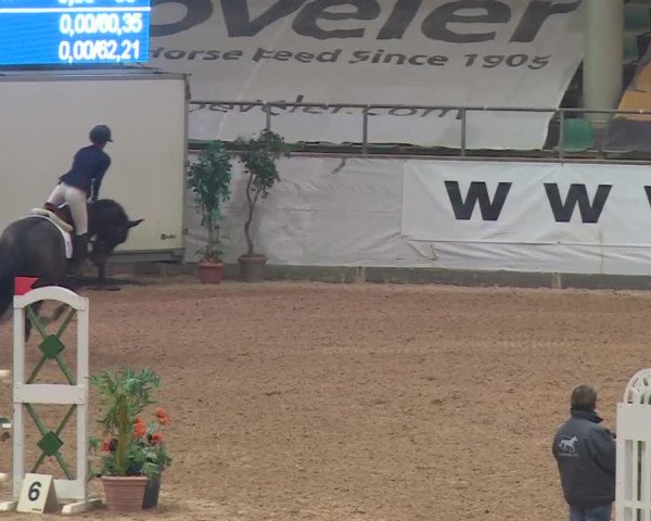 FEI Reitturnier Kreuth (GER) 2017