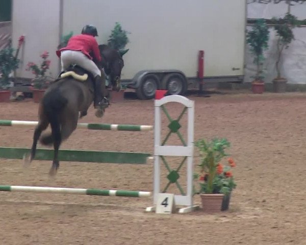 FEI Reitturnier Kreuth (GER) 2017