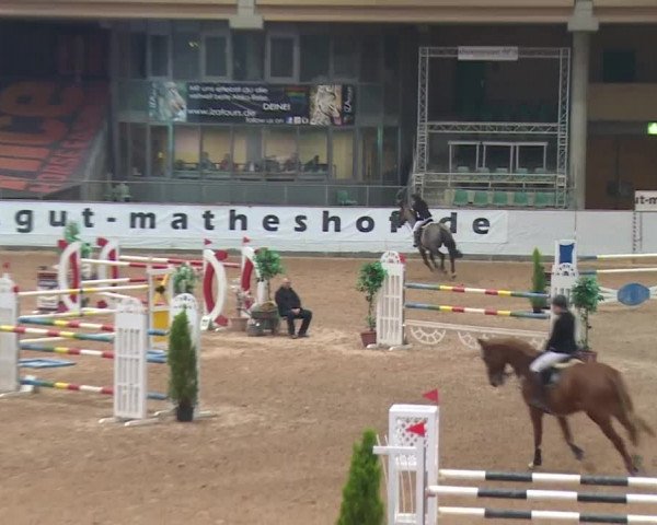 FEI Reitturnier Kreuth (GER) 2017