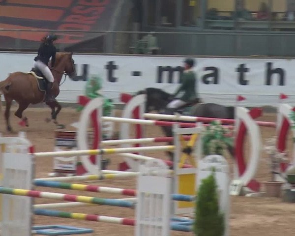 FEI Reitturnier Kreuth (GER) 2017