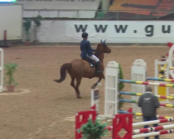 FEI Reitturnier Kreuth (GER) 2017