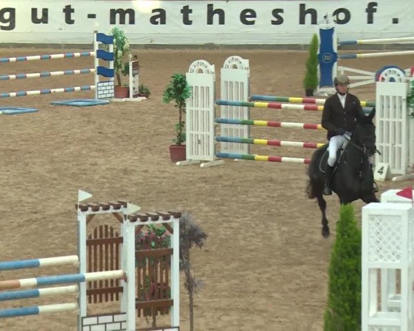 FEI Reitturnier Kreuth (GER) 2017