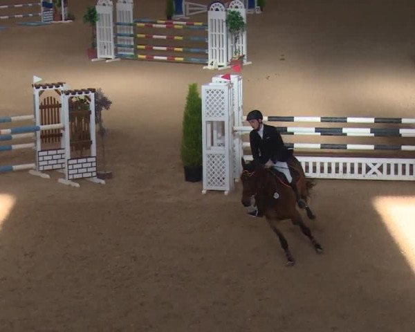 FEI Reitturnier Kreuth (GER) 2017
