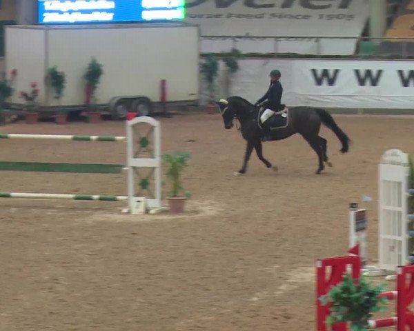 FEI Reitturnier Kreuth (GER) 2017