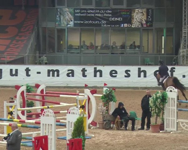 FEI Reitturnier Kreuth (GER) 2017
