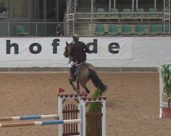 FEI Reitturnier Kreuth (GER) 2017