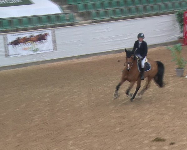FEI Reitturnier Kreuth (GER) 2017