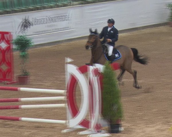 FEI Reitturnier Kreuth (GER) 2017