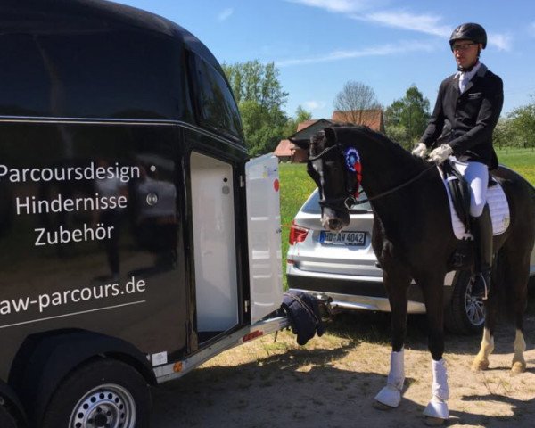 dressage horse San Christobal SG (Hanoverian, 2014, from Susu's Boy)