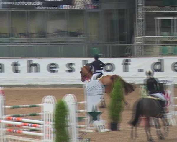 FEI Reitturnier Kreuth (GER) 2017