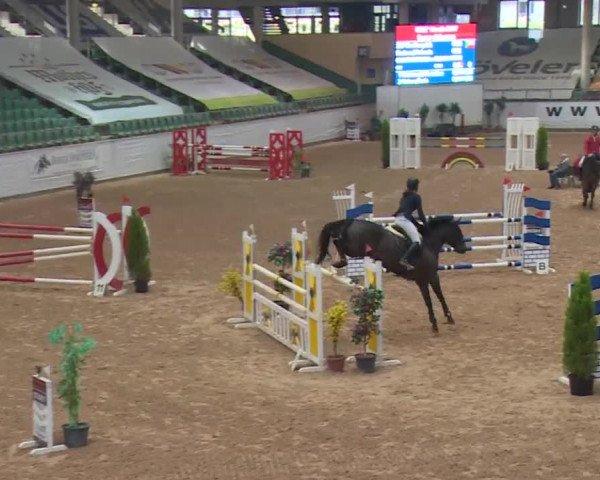 FEI Reitturnier Kreuth (GER) 2017