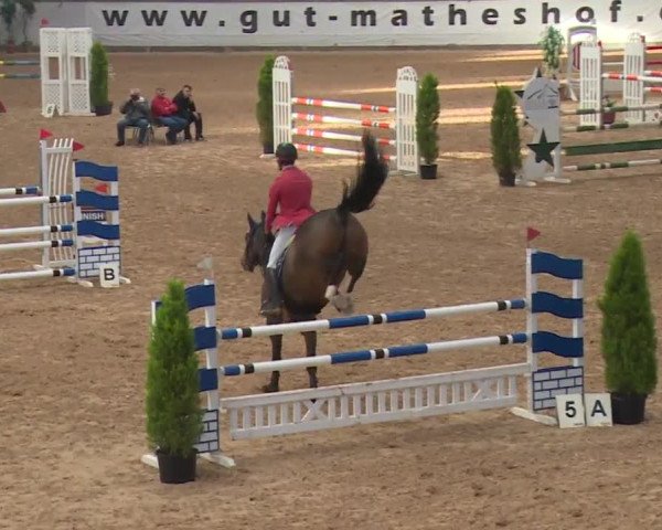 FEI Reitturnier Kreuth (GER) 2017