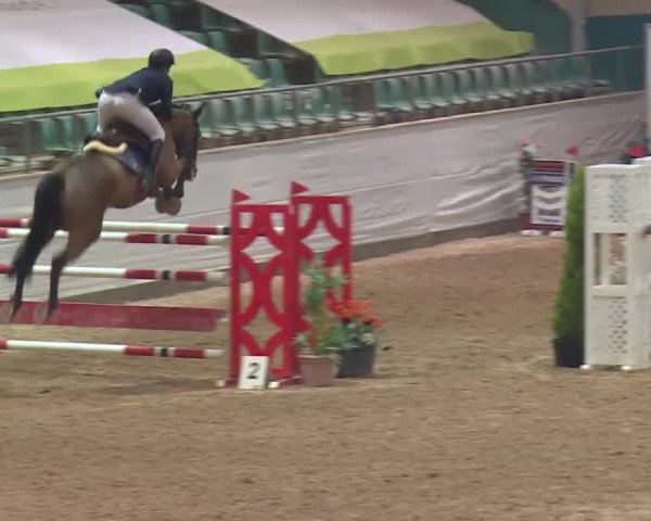 FEI Reitturnier Kreuth (GER) 2017