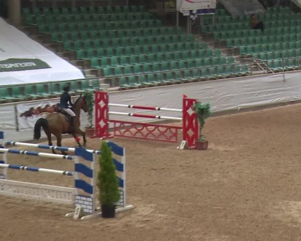 FEI Reitturnier Kreuth (GER) 2017