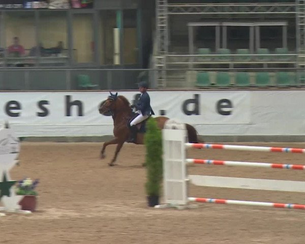FEI Reitturnier Kreuth (GER) 2017