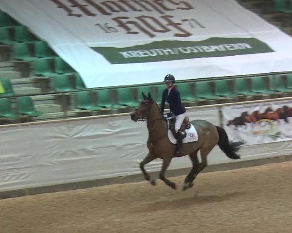 FEI Reitturnier Kreuth (GER) 2017