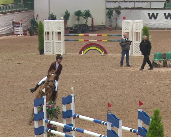 FEI Reitturnier Kreuth (GER) 2017