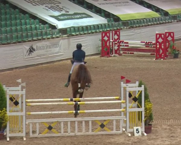 FEI Reitturnier Kreuth (GER) 2017