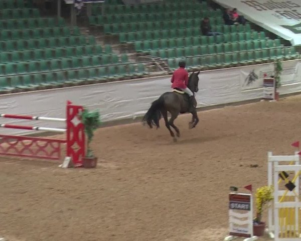 FEI Reitturnier Kreuth (GER) 2017