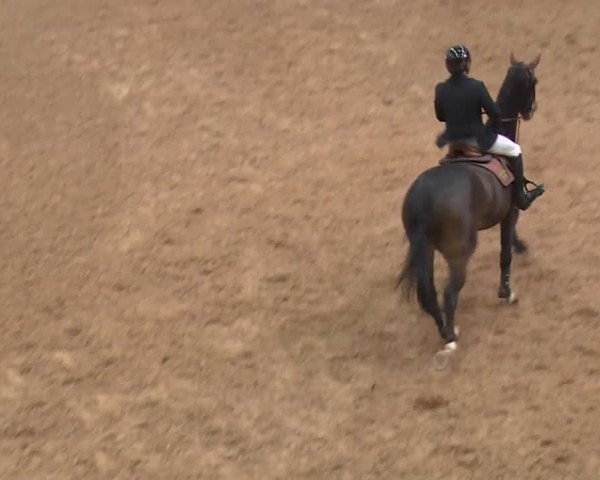 FEI Reitturnier Kreuth (GER) 2017