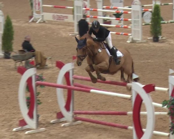 FEI Reitturnier Kreuth (GER) 2017