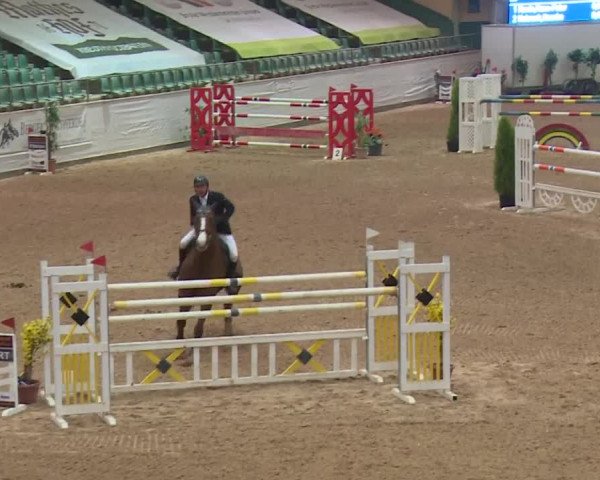 FEI Reitturnier Kreuth (GER) 2017
