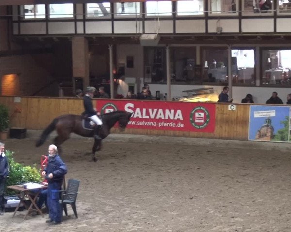 Reitturnier Stall Friedrichshulde, Sylva Kuhrt 2017