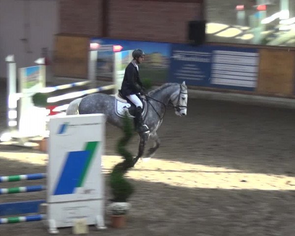 Reitturnier Stall Friedrichshulde, Sylva Kuhrt 2017