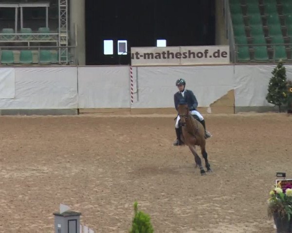 FEI Reitturnier Kreuth (GER) 2017