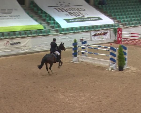 FEI Reitturnier Kreuth (GER) 2017