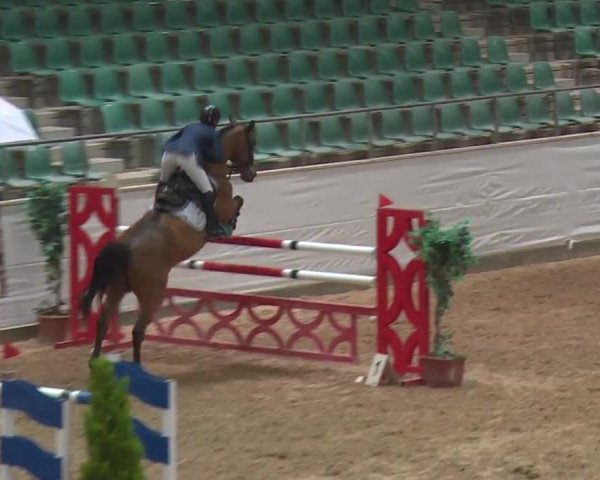 FEI Reitturnier Kreuth (GER) 2017