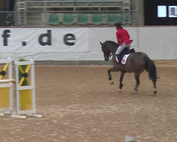 FEI Reitturnier Kreuth (GER) 2017