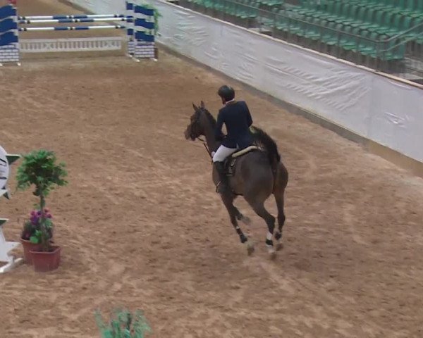 FEI Reitturnier Kreuth (GER) 2017
