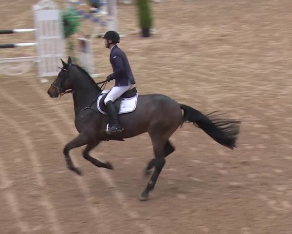 FEI Reitturnier Kreuth (GER) 2017