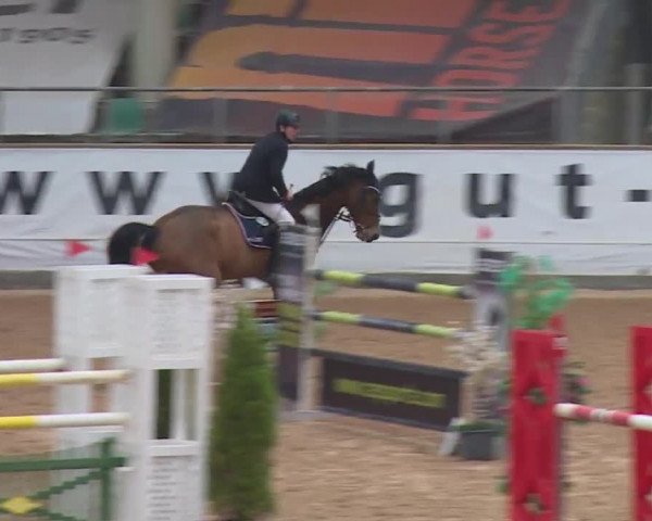 FEI Reitturnier Kreuth (GER) 2017