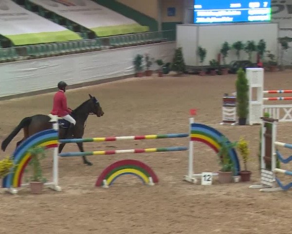 FEI Reitturnier Kreuth (GER) 2017