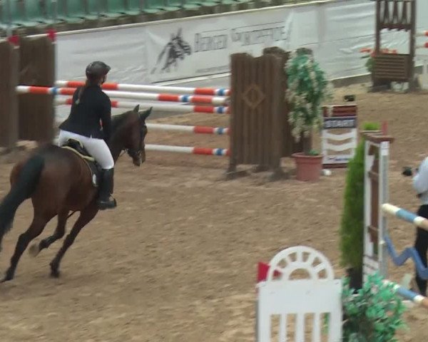 FEI Reitturnier Kreuth (GER) 2017