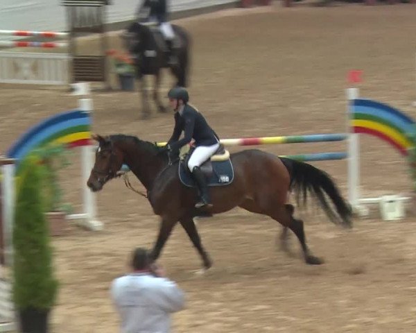 FEI Reitturnier Kreuth (GER) 2017
