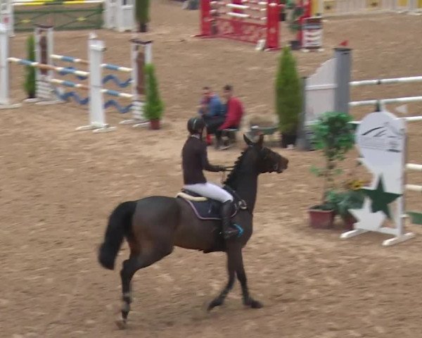 FEI Reitturnier Kreuth (GER) 2017