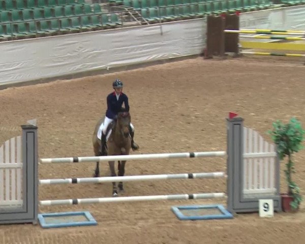 FEI Reitturnier Kreuth (GER) 2017