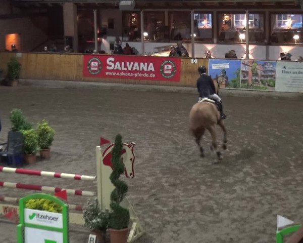 Reitturnier Stall Friedrichshulde, Sylva Kuhrt 2017