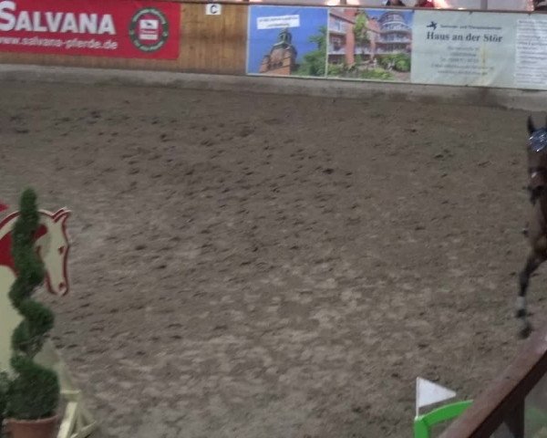 Reitturnier Stall Friedrichshulde, Sylva Kuhrt 2017