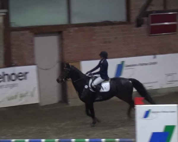 Reitturnier Stall Friedrichshulde, Sylva Kuhrt 2017